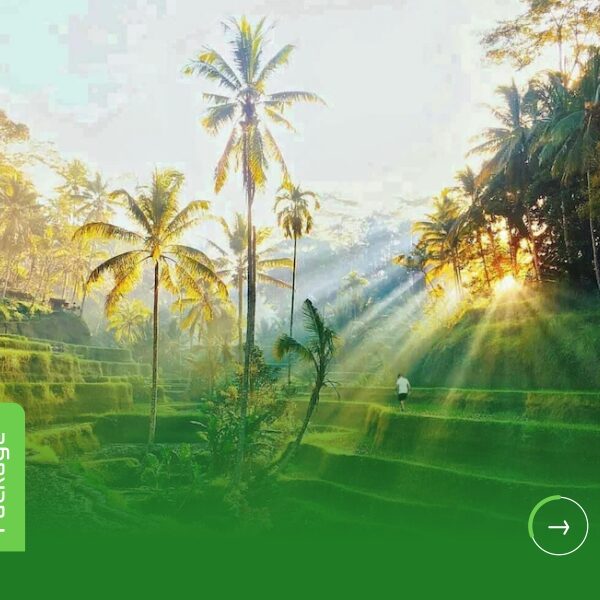 Ubud Full Day Tour